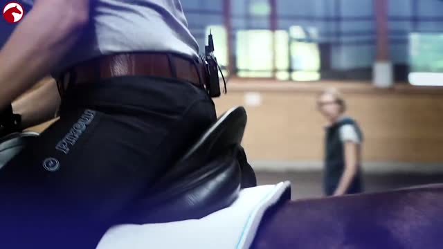 Balanceakt Reiten - So wirst Du eins mit Deinem Pferd